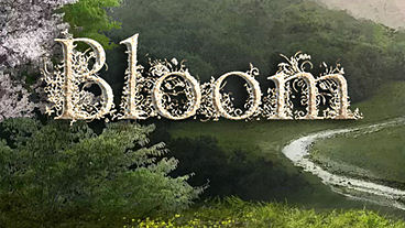 Bloom: Memories Teaser, Screens, Info