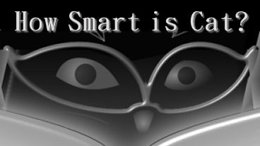 How Smart is Cat? Screens and Info