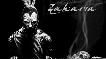 Zaharia Screens, Art, Info