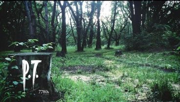 How “P.T.” Taught Me I’m Done With Hardcore Horror Games