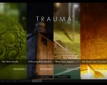 Trauma screenshot - click to enlarge
