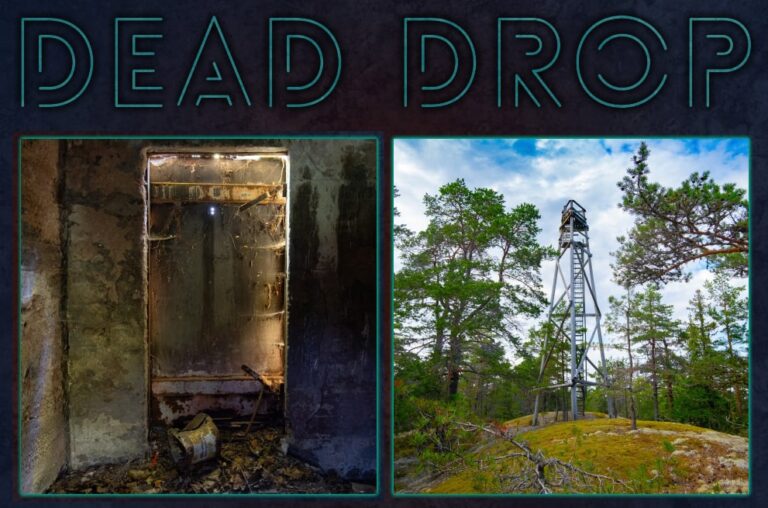 Cover art for Carol Reed: Dead Drop
