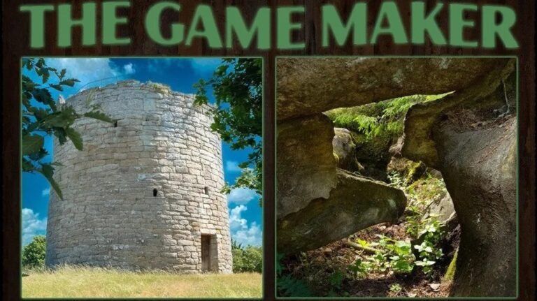 Cover art for Carol Reed: The Game Maker