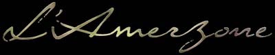 Amerzone: The Explorer’s Legacy – www.gamesover.com