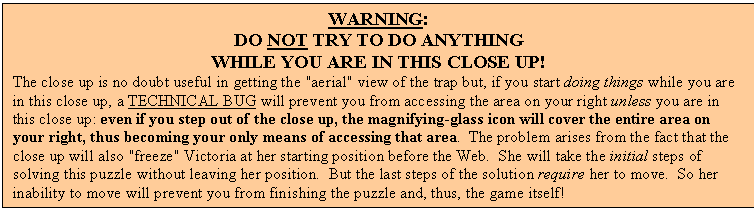 Text Box: WARNING:
DO NOT TRY TO DO ANYTHING
WHILE YOU ARE IN THIS CLOSE UP!
The close up is no doubt useful in getting the "aerial" view of the trap but, if you start doing things while you are in this close up, a TECHNICAL BUG will prevent you from accessing the area on your right unless you are in this close up: even if you step out of the close up, the magnifying-glass icon will cover the entire area on your right, thus becoming your only means of accessing that area.  The problem arises from the fact that the close up will also "freeze" Victoria at her starting position before the Web.  She will take the initial steps of solving this puzzle without leaving her position.  But the last steps of the solution require her to move.  So her inability to move will prevent you from finishing the puzzle and, thus, the game itself!

