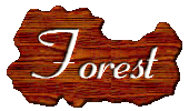 Syberia II