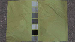 night4.jpg (10883 bytes)