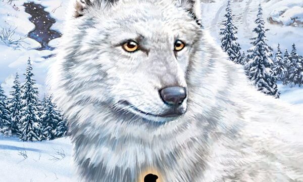 Nancy Drew: The White Wolf of Icicle Creek