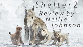 Shelter 2 - Review