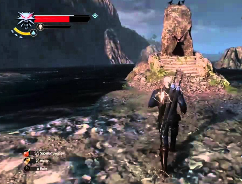 witcher 9