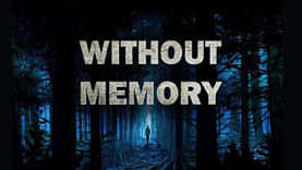 Without Memory: A Third-Person Psychological Thriller