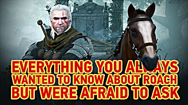 New DLC for the Witcher 3: Wild Hunt