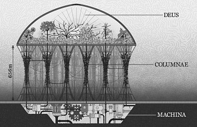 COLUMNAE-InTxtImg