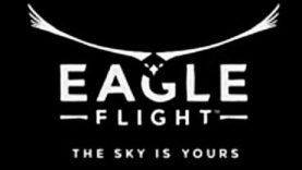 Funhouse, a Division of Ubisoft, Releases Eagle Flight, Its First Game for VR