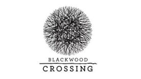 Blackwood Crossing Has Been Released on PS4, Xbox One and Windows
