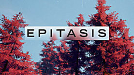 Epitasis Kickstarter – Through the Portal and Beyond