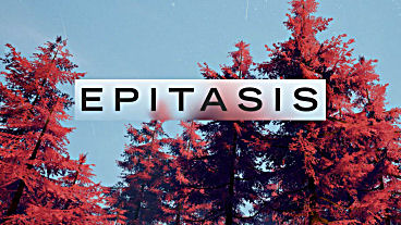 Epitasis Kickstarter – Through the Portal and Beyond